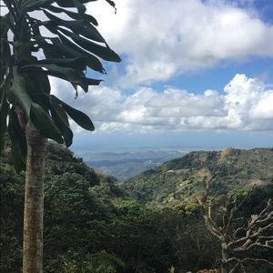 Meet your Posher, Joyce